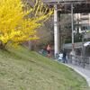 20080315_162845_P1000197