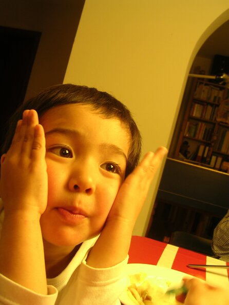 20080318_084234_dscn9979