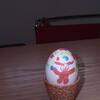 20080319_021026_dscn9980