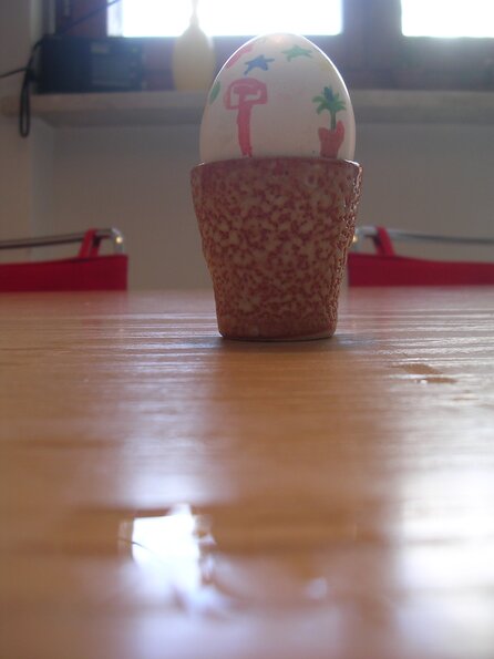 20080319_021306_dscn9986