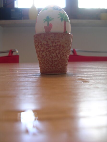 20080319_021315_dscn9987