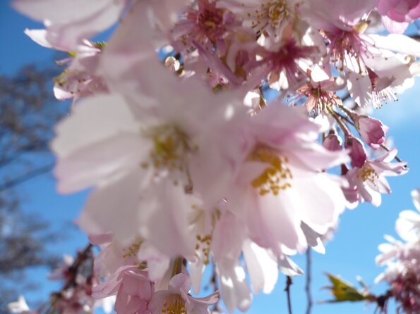 20080322_110232_P1000218