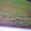20080322_231539_dscn0021