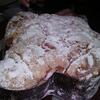 20080323_035539_dscn0044