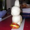 20080323_035704_dscn0047