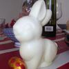 20080323_035720_dscn0049