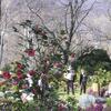 20080323_051111_dscn0055
