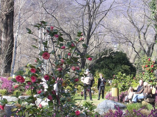 20080323_051111_dscn0055