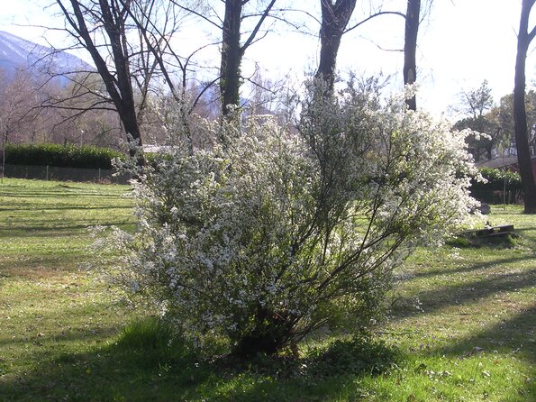 20080323_051153_dscn0056