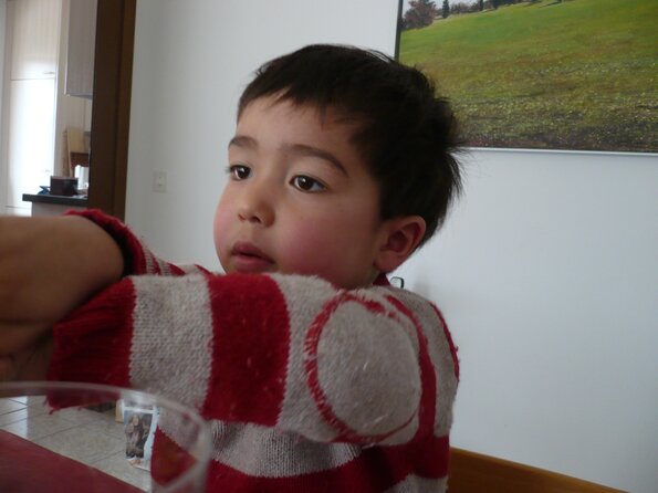 20080323_133441_P1000241