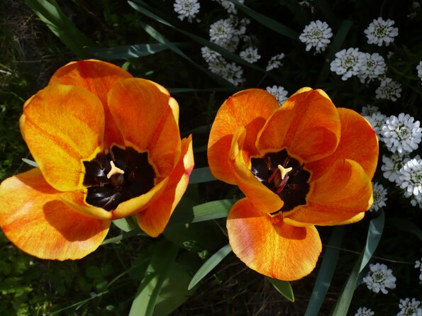 20080405_130904_P1000277