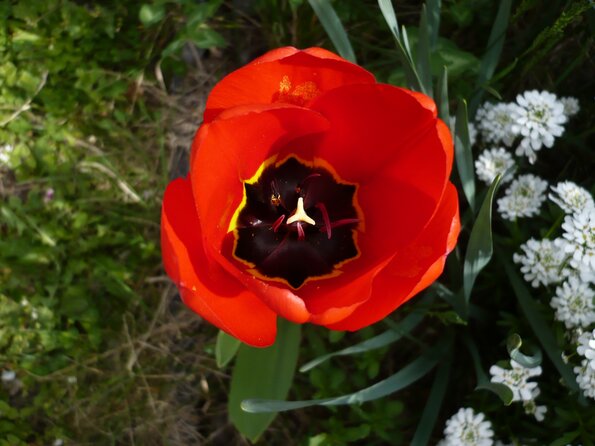 20080405_130920_P1000279