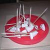 20080418_052601_dscn0124