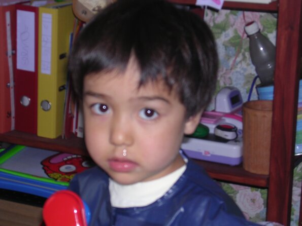 20080418_052902_dscn0130