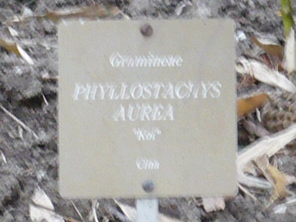 20080427_114338_P1000348