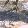 20080502_000244_dscn0191