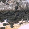 20080502_000301_dscn0192