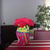 20080511_213342_dscn0234