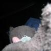 20080522_005000_dscn0237