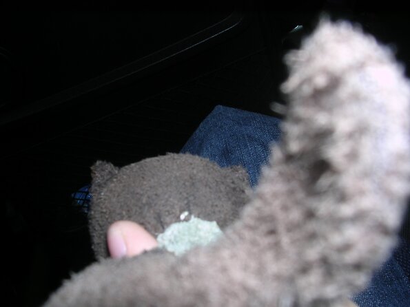 20080522_005000_dscn0237