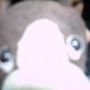 20080522_005022_dscn0238