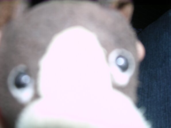 20080522_005022_dscn0238