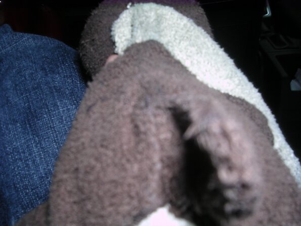 20080522_005124_dscn0242