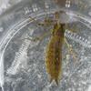 20080608_104035_p1000423
