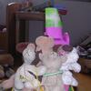 20080615_042742_dscn0278