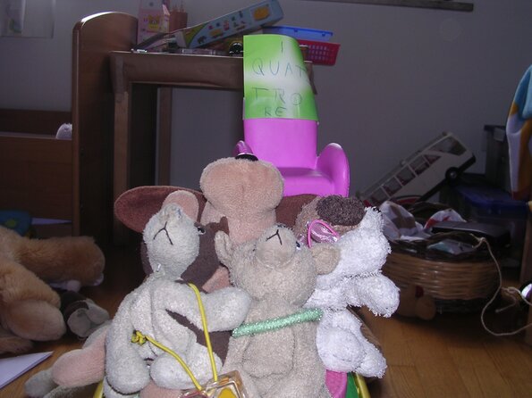 20080615_042742_dscn0278