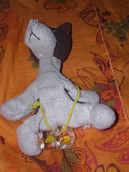 20080615_042907_dscn0283