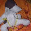 20080615_042922_dscn0284