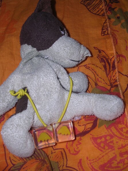20080615_042922_dscn0284