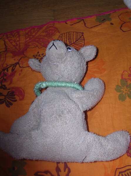 20080615_042933_dscn0285