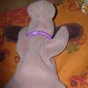 20080615_042947_dscn0286
