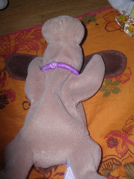 20080615_042947_dscn0286