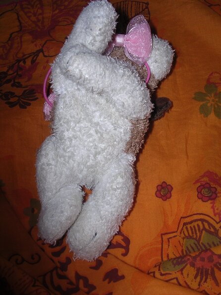 20080615_042959_dscn0287