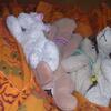 20080615_043037_dscn0288