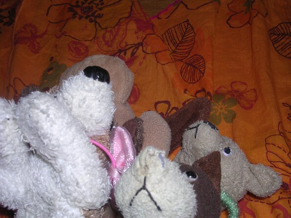 20080615_043048_dscn0289