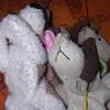 20080615_043101_dscn0290