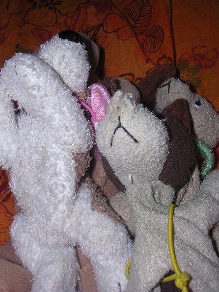 20080615_043101_dscn0290
