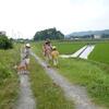 20080709_011918_P1000490