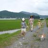 20080709_012137_P1000492