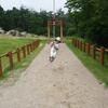 20080711_032829_P1000493