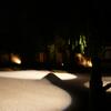 20080719_122732_P1000525