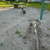 20080720_095058_P1000528