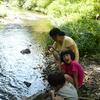 20080724_051613_P1000544