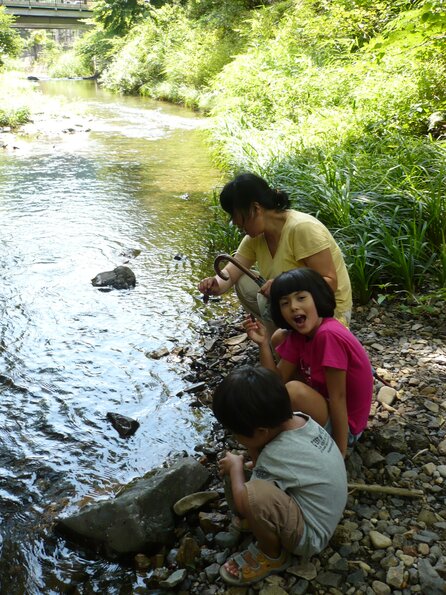 20080724_051613_P1000544