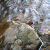 20080724_051724_P1000547