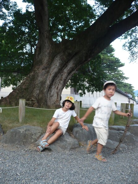 20080727_095136_P1000572